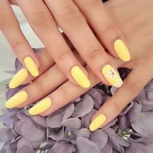 WhatsApp Image 2026-01-20 at 12.34.49 PM